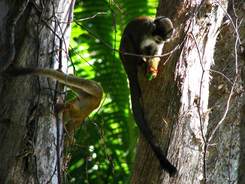 Bonnet-House-Fort-Lauderdale-FL-090