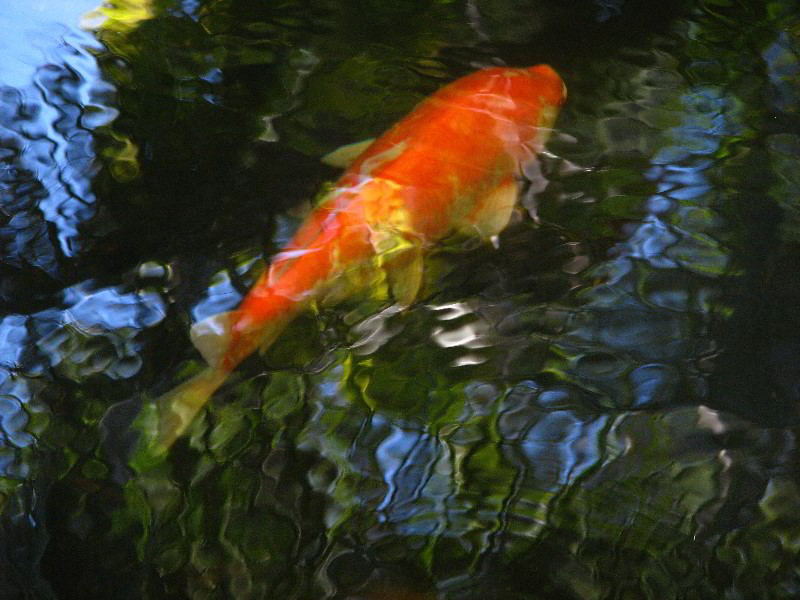 Bonnet-House-Fort-Lauderdale-FL-096