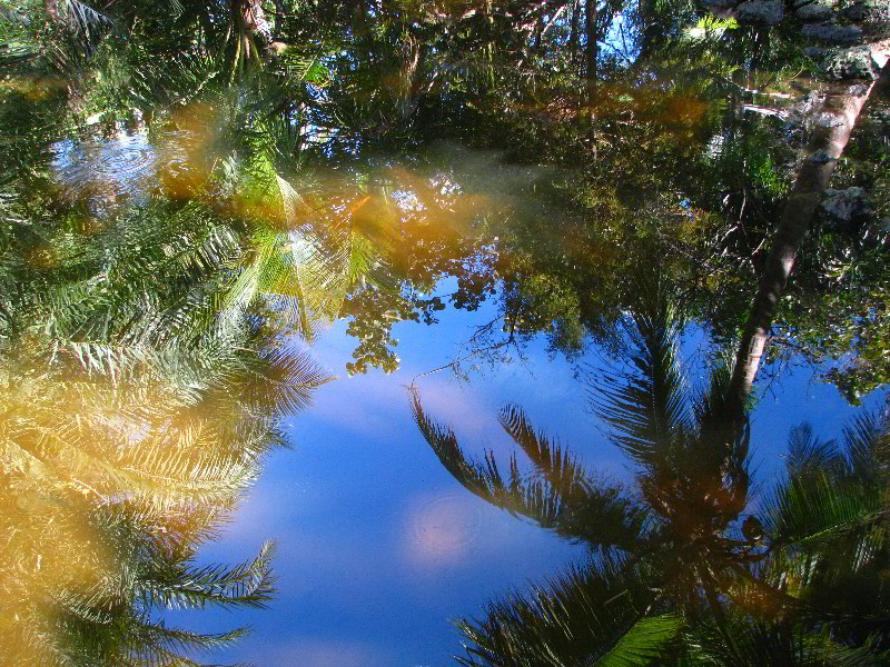 Bonnet-House-Fort-Lauderdale-FL-097