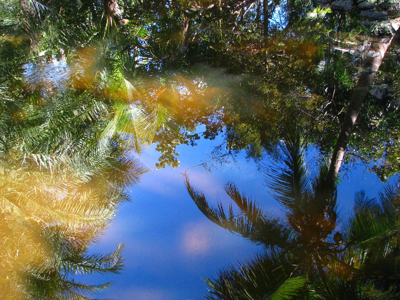 Bonnet-House-Fort-Lauderdale-FL-097