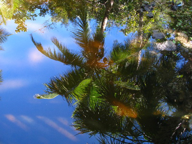 Bonnet-House-Fort-Lauderdale-FL-098