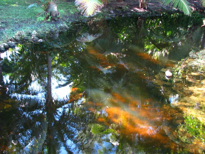 Bonnet-House-Fort-Lauderdale-FL-099