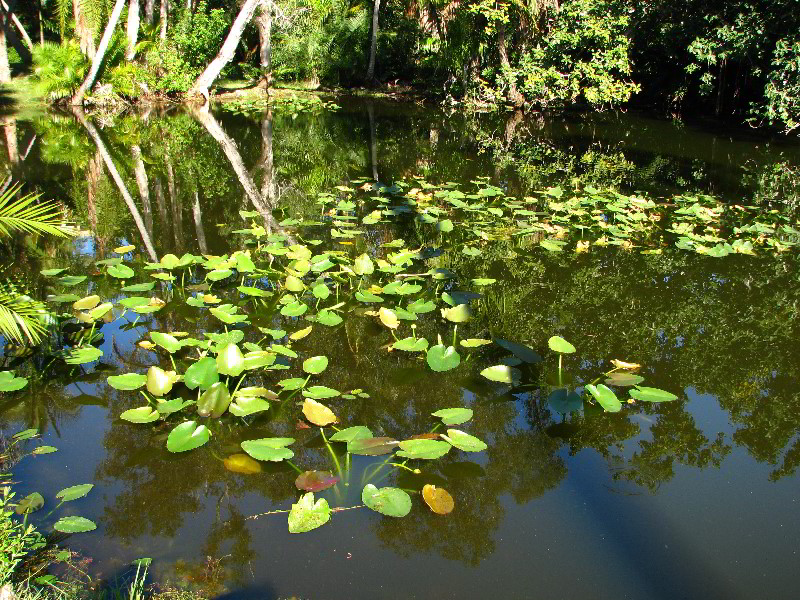 Bonnet-House-Fort-Lauderdale-FL-116