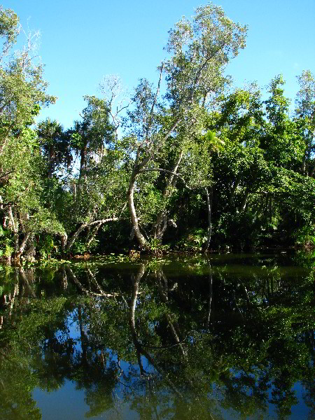 Bonnet-House-Fort-Lauderdale-FL-117