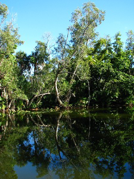 Bonnet-House-Fort-Lauderdale-FL-117