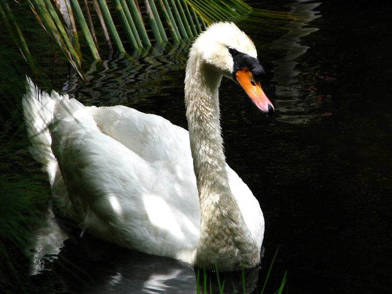 Bonnet-House-Summer-Fort-Lauderdale-FL-053