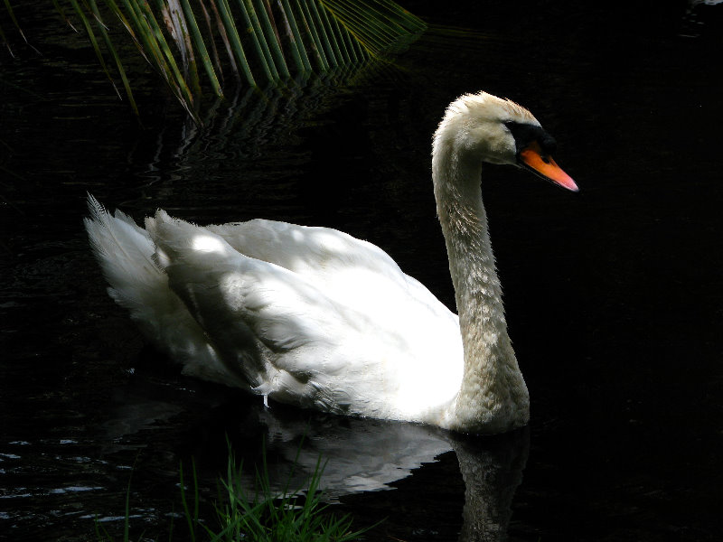 Bonnet-House-Summer-Fort-Lauderdale-FL-054