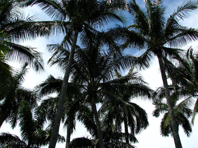 Bonnet-House-Summer-Fort-Lauderdale-FL-081