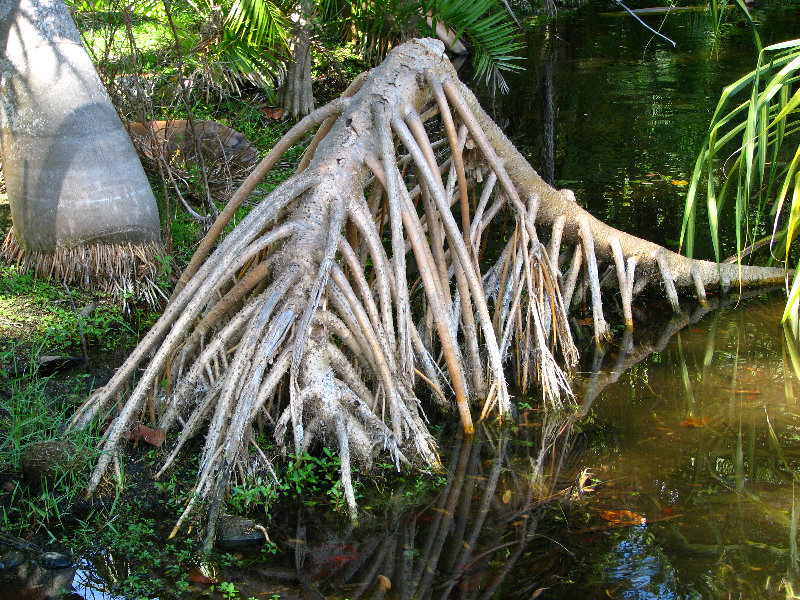 Bonnet-House-Summer-Fort-Lauderdale-FL-119