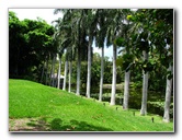 Bonnet-House-Summer-Fort-Lauderdale-FL-043