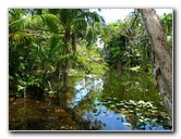 Bonnet-House-Summer-Fort-Lauderdale-FL-067