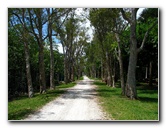 Bonnet-House-Summer-Fort-Lauderdale-FL-088