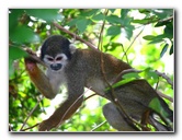 Bonnet-House-Summer-Fort-Lauderdale-FL-092