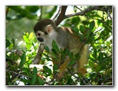 Bonnet-House-Summer-Fort-Lauderdale-FL-109