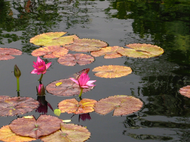 Botero-At-Fairchild-Gardens-Coral-Gables-FL-009