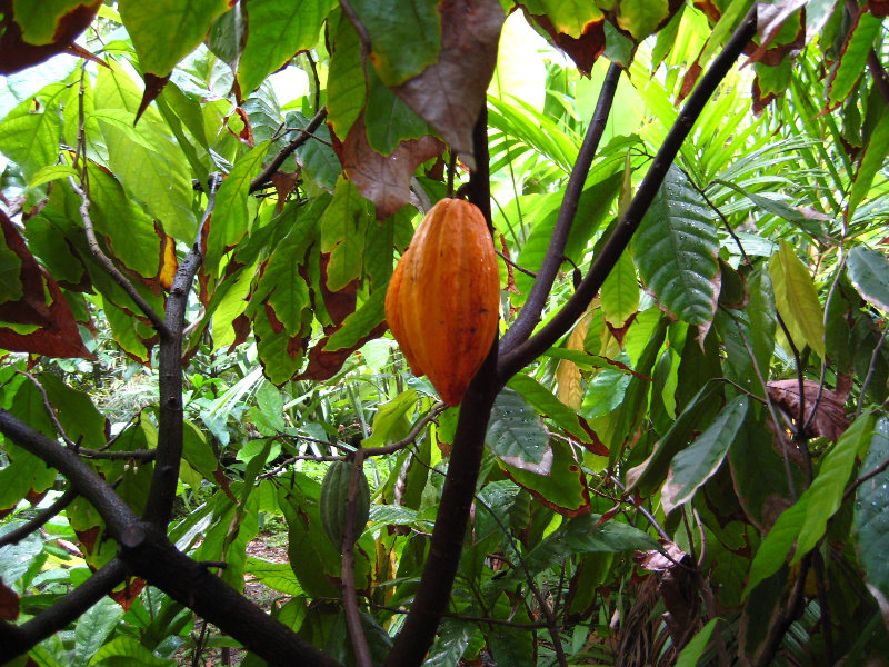 Botero-At-Fairchild-Gardens-Coral-Gables-FL-041