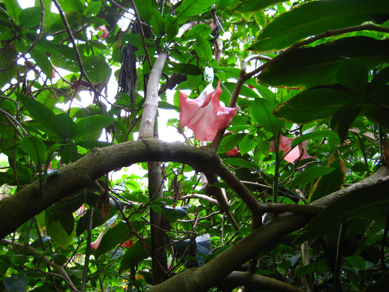 Botero-At-Fairchild-Gardens-Coral-Gables-FL-043