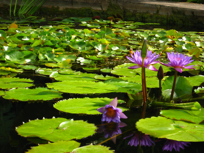 Botero-At-Fairchild-Gardens-Coral-Gables-FL-058