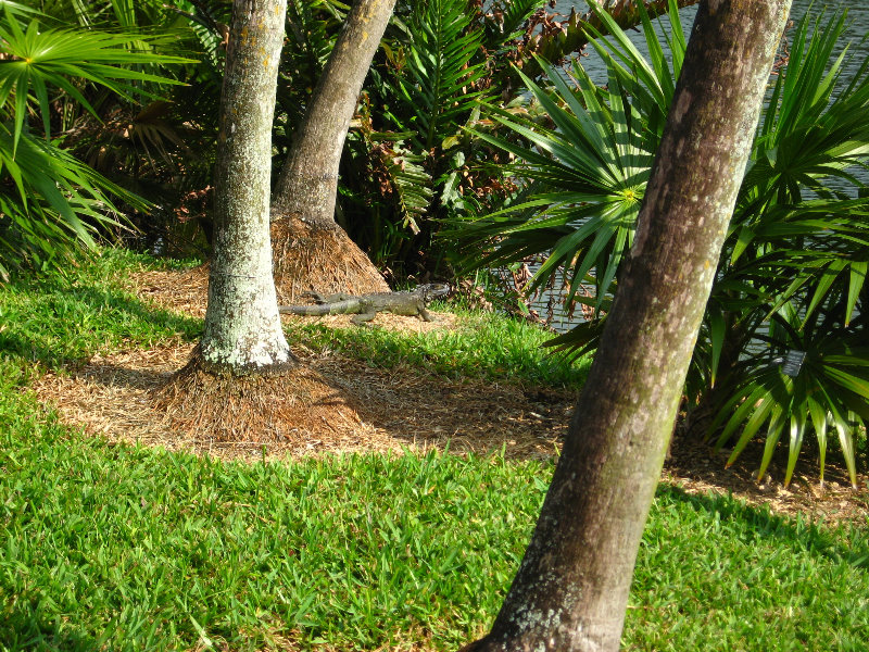 Botero-At-Fairchild-Gardens-Coral-Gables-FL-073