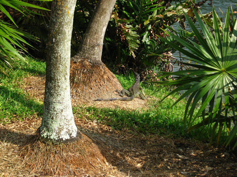 Botero-At-Fairchild-Gardens-Coral-Gables-FL-075