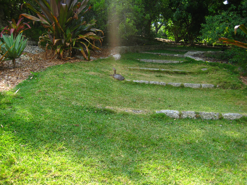 Botero-At-Fairchild-Gardens-Coral-Gables-FL-082