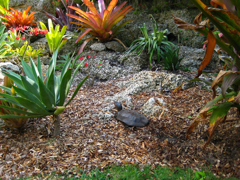 Botero-At-Fairchild-Gardens-Coral-Gables-FL-088