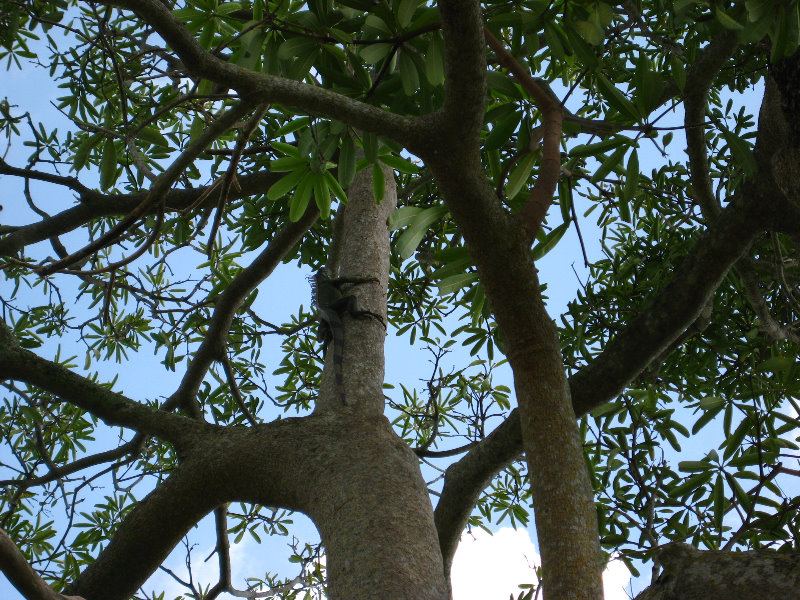 Botero-At-Fairchild-Gardens-Coral-Gables-FL-092