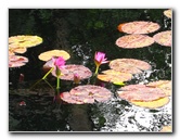 Botero-At-Fairchild-Gardens-Coral-Gables-FL-008