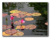 Botero-At-Fairchild-Gardens-Coral-Gables-FL-009
