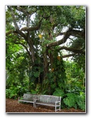 Botero-At-Fairchild-Gardens-Coral-Gables-FL-022