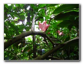 Botero-At-Fairchild-Gardens-Coral-Gables-FL-043