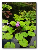 Botero-At-Fairchild-Gardens-Coral-Gables-FL-050