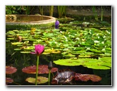 Botero-At-Fairchild-Gardens-Coral-Gables-FL-057