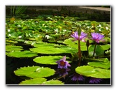 Botero-At-Fairchild-Gardens-Coral-Gables-FL-058