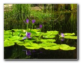 Botero-At-Fairchild-Gardens-Coral-Gables-FL-059