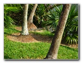 Botero-At-Fairchild-Gardens-Coral-Gables-FL-073
