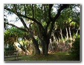 Botero-At-Fairchild-Gardens-Coral-Gables-FL-077