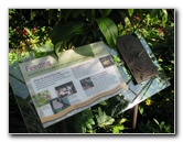 Butterfly-Rainforest-FLMNH-UF-Gainesville-FL-048