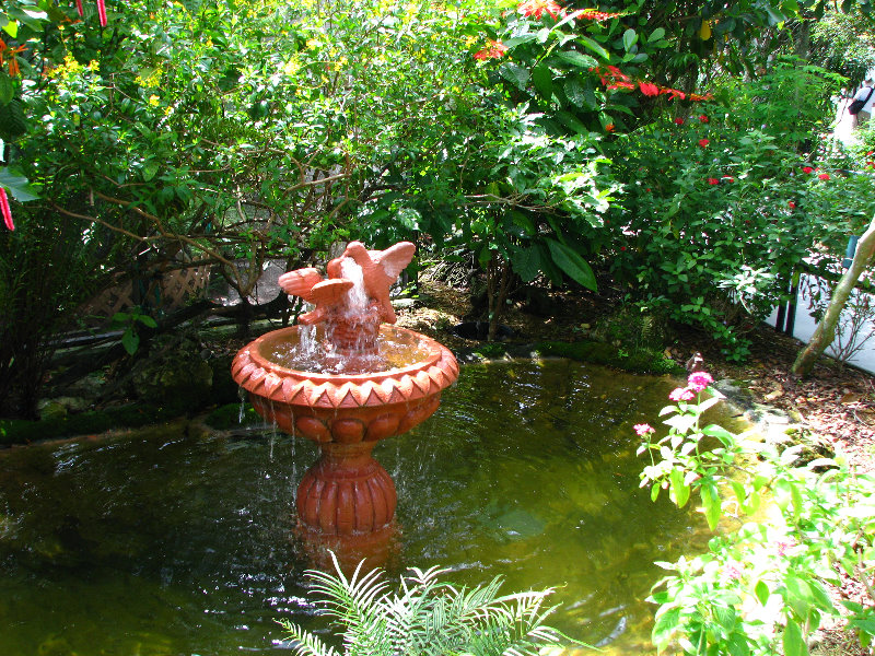 Butterfly-World-Coconut-Creek-FL-007