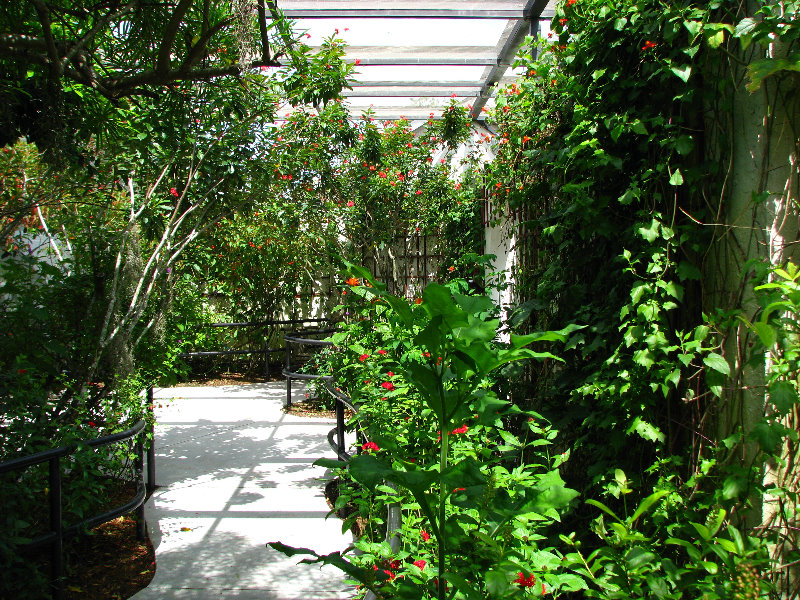 Butterfly-World-Coconut-Creek-FL-013