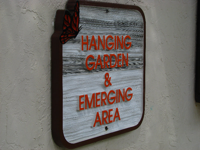 Butterfly-World-Coconut-Creek-FL-043