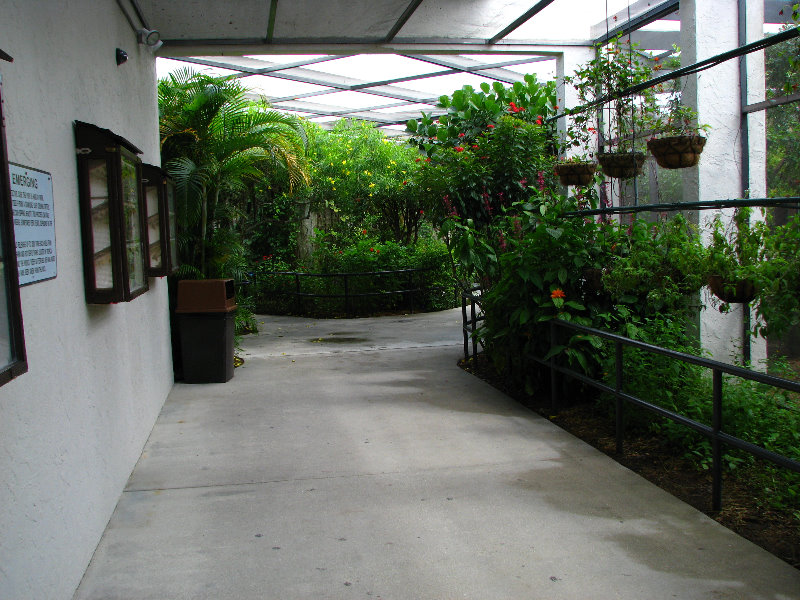 Butterfly-World-Coconut-Creek-FL-046