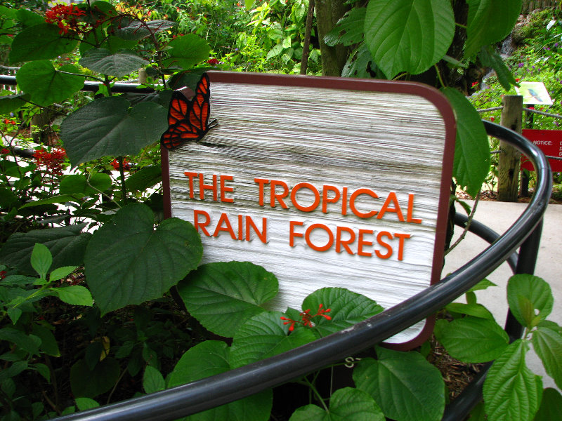 Butterfly-World-Coconut-Creek-FL-047