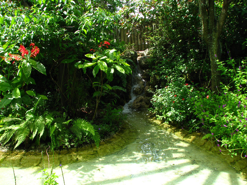 Butterfly-World-Coconut-Creek-FL-061