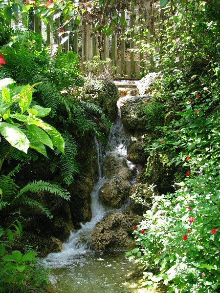 Butterfly-World-Coconut-Creek-FL-062
