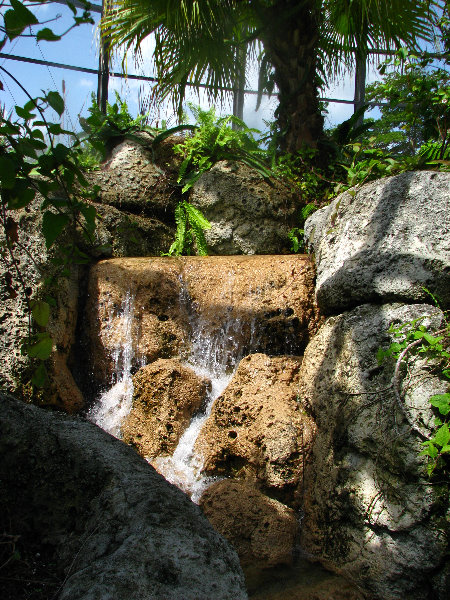 Butterfly-World-Coconut-Creek-FL-069