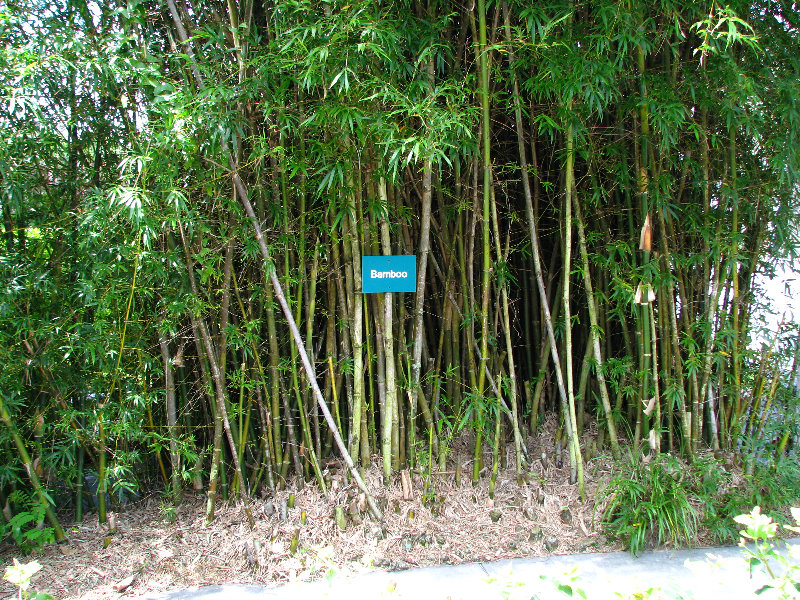 Butterfly-World-Coconut-Creek-FL-072