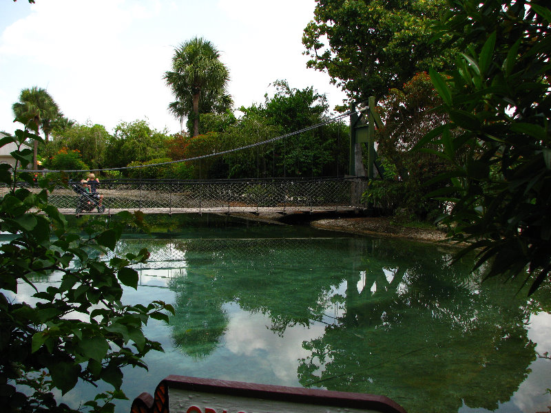 Butterfly-World-Coconut-Creek-FL-076