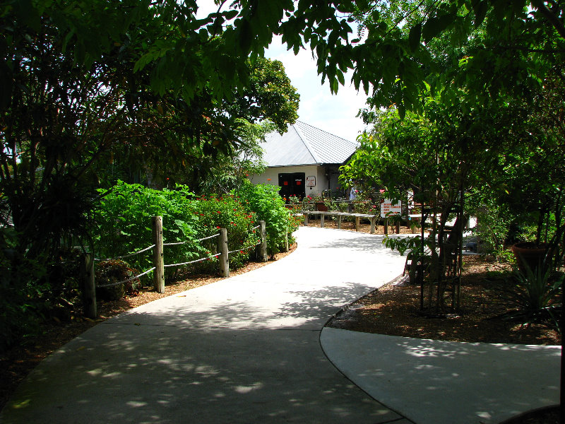 Butterfly-World-Coconut-Creek-FL-077