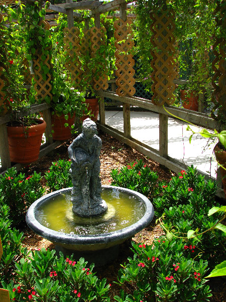 Butterfly-World-Coconut-Creek-FL-080